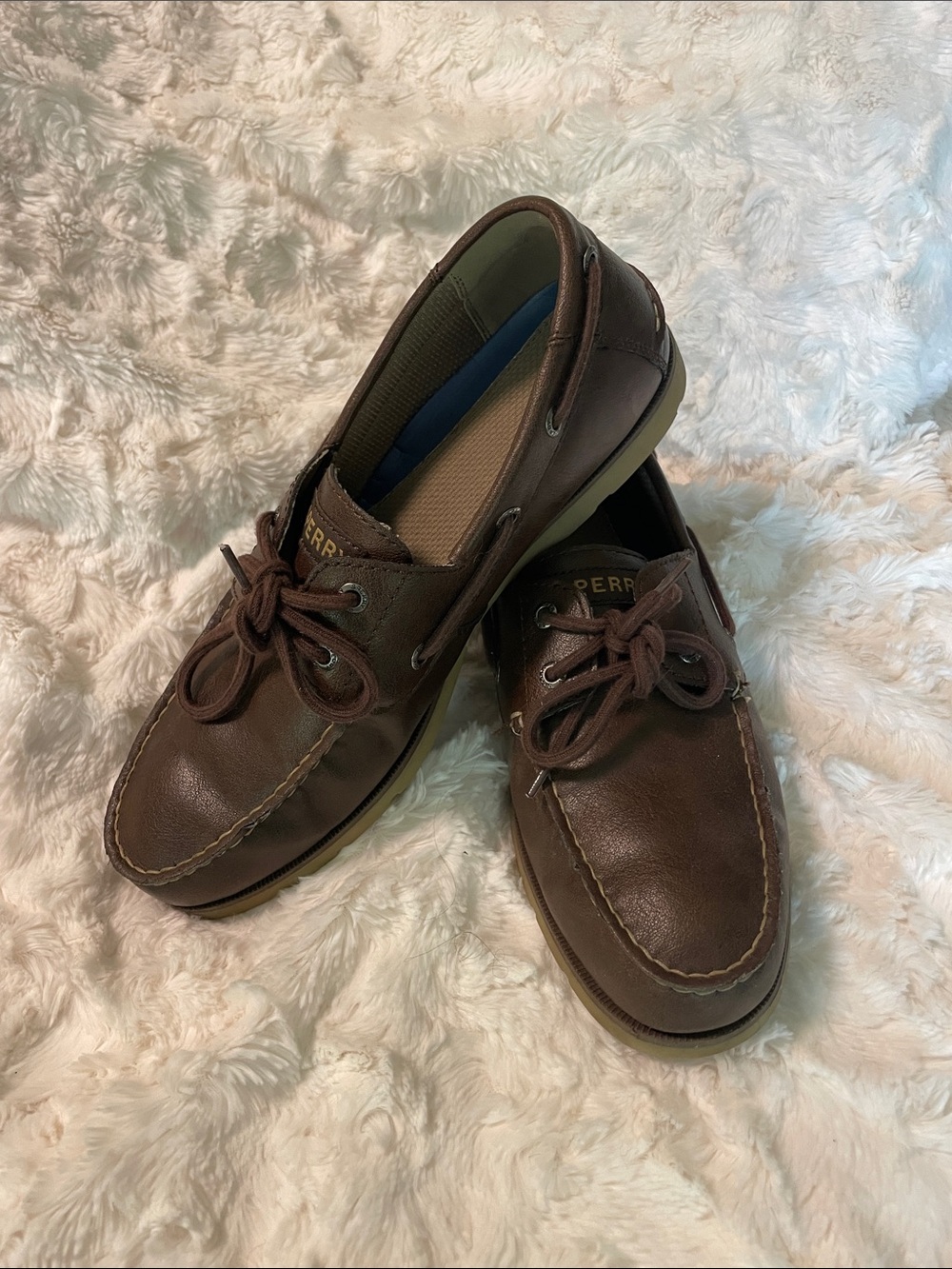 Sperry Men's Dark Brown Leather Boat Shoes